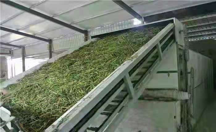 網帶烘干機